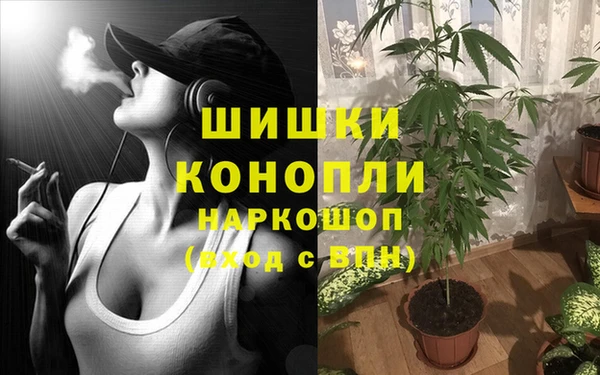 круглые Сосновка